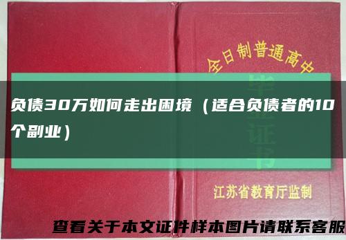 负债30万如何走出困境（适合负债者的10个副业）缩略图