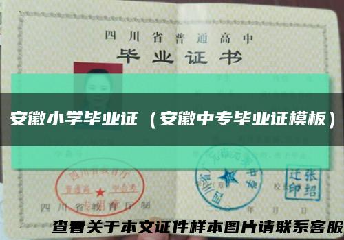 安徽小学毕业证（安徽中专毕业证模板）缩略图