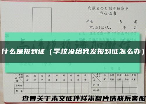 什么是报到证（学校没给我发报到证怎么办）缩略图