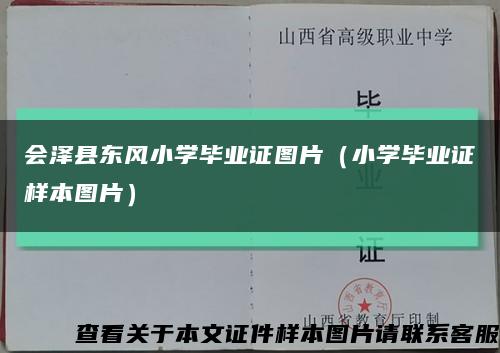 会泽县东风小学毕业证图片（小学毕业证样本图片）缩略图