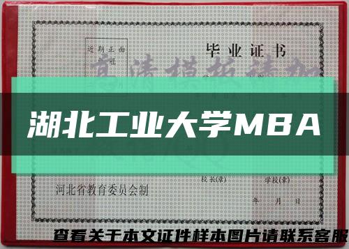湖北工业大学MBA缩略图