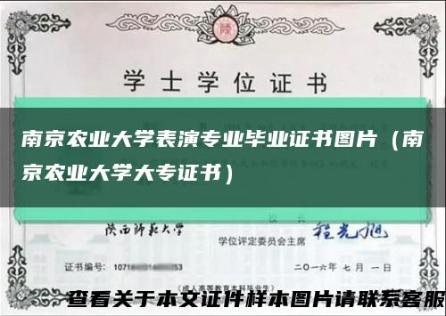 南京农业大学表演专业毕业证书图片（南京农业大学大专证书）缩略图