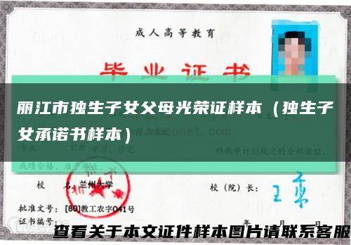 丽江市独生子女父母光荣证样本（独生子女承诺书样本）缩略图