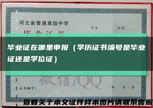 毕业证在哪里申报（学历证书编号是毕业证还是学位证）缩略图