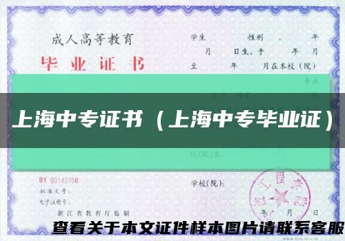 上海中专证书（上海中专毕业证）缩略图