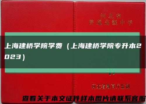 上海建桥学院学费（上海建桥学院专升本2023）缩略图