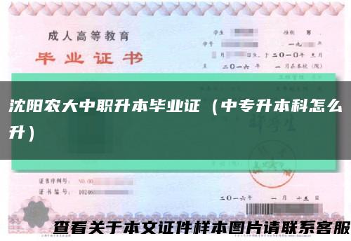 沈阳农大中职升本毕业证（中专升本科怎么升）缩略图