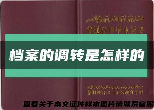 档案的调转是怎样的缩略图