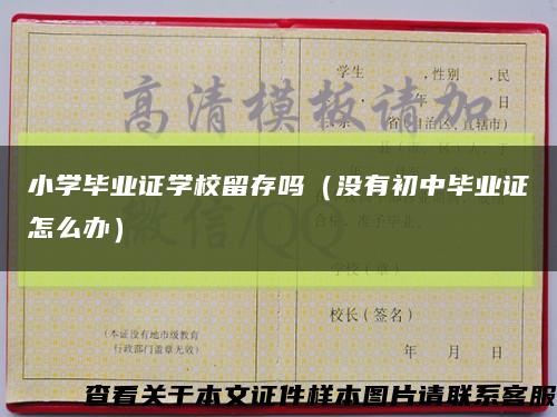 小学毕业证学校留存吗（没有初中毕业证怎么办）缩略图