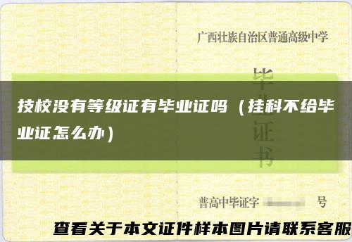 技校没有等级证有毕业证吗（挂科不给毕业证怎么办）缩略图