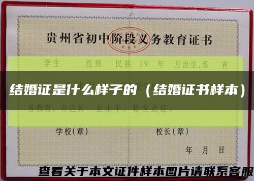 结婚证是什么样子的（结婚证书样本）缩略图