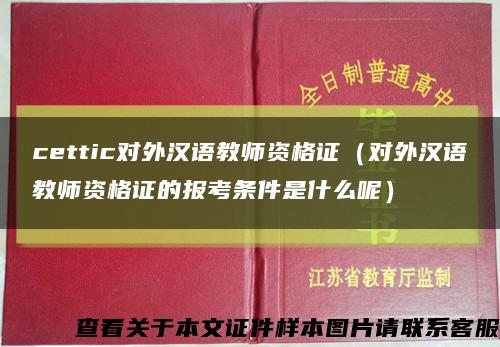 cettic对外汉语教师资格证（对外汉语教师资格证的报考条件是什么呢）缩略图