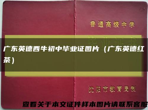 广东英德西牛初中毕业证图片（广东英德红茶）缩略图
