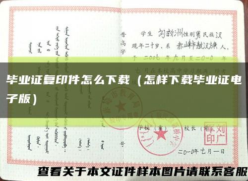 毕业证复印件怎么下载（怎样下载毕业证电子版）缩略图