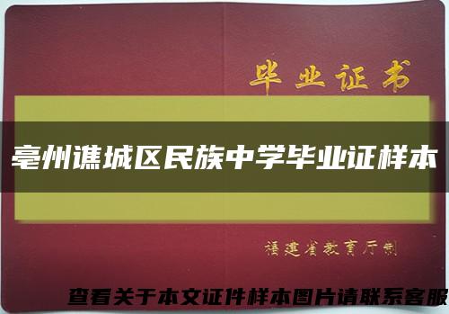 亳州谯城区民族中学毕业证样本缩略图