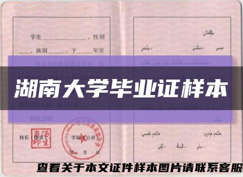 湖南大学毕业证样本缩略图