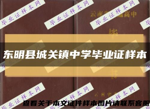 东明县城关镇中学毕业证样本缩略图