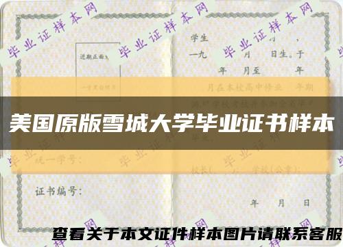 美国原版雪城大学毕业证书样本缩略图