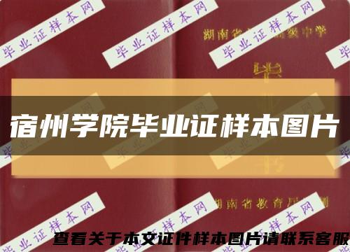 宿州学院毕业证样本图片缩略图