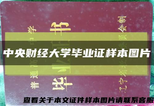 中央财经大学毕业证样本图片缩略图