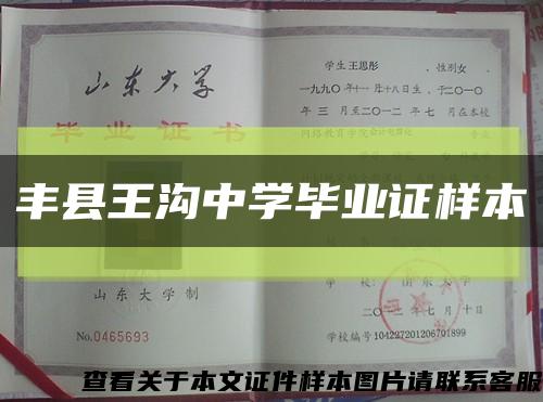 丰县王沟中学毕业证样本缩略图