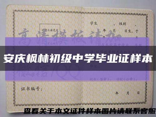 安庆枫林初级中学毕业证样本缩略图