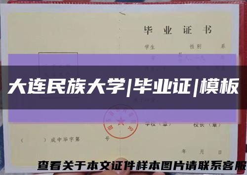 大连民族大学|毕业证|模板缩略图