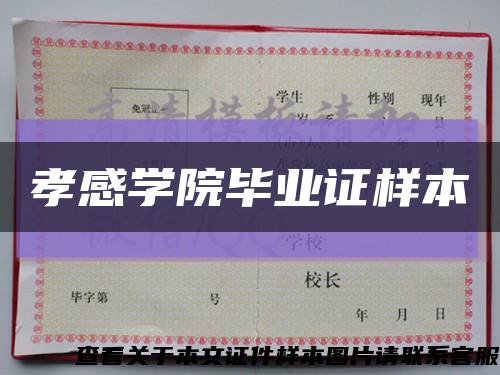 孝感学院毕业证样本缩略图