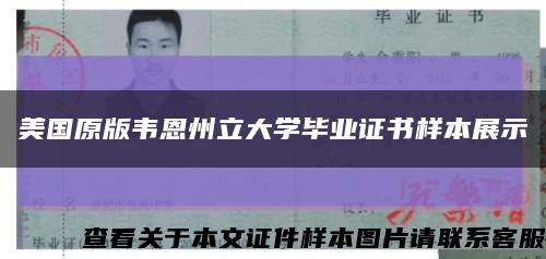 美国原版韦恩州立大学毕业证书样本展示缩略图