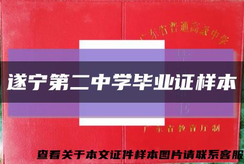 遂宁第二中学毕业证样本缩略图