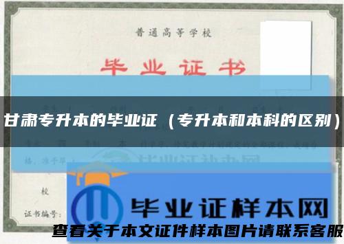 甘肃专升本的毕业证（专升本和本科的区别）缩略图