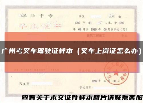 广州考叉车驾驶证样本（叉车上岗证怎么办）缩略图