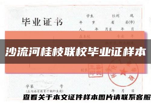 沙流河桂枝联校毕业证样本缩略图