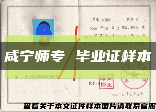 咸宁师专 毕业证样本缩略图