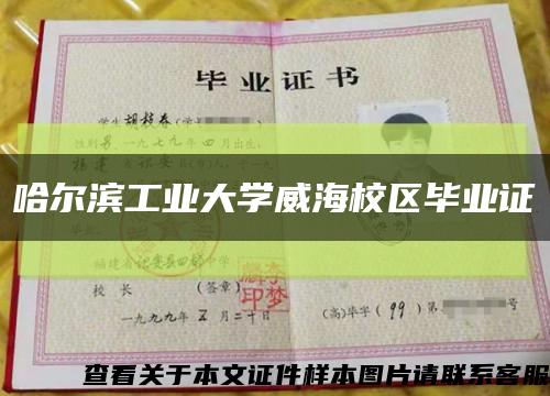 哈尔滨工业大学威海校区毕业证缩略图