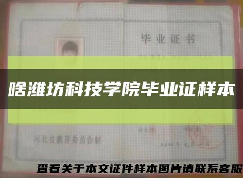 啥潍坊科技学院毕业证样本缩略图