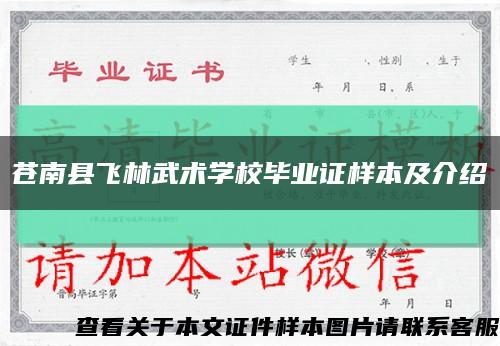苍南县飞林武术学校毕业证样本及介绍缩略图