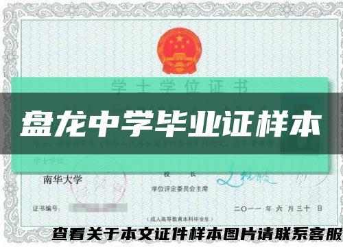 盘龙中学毕业证样本缩略图