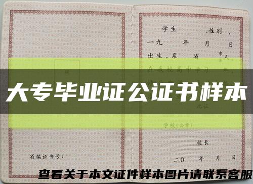 大专毕业证公证书样本缩略图