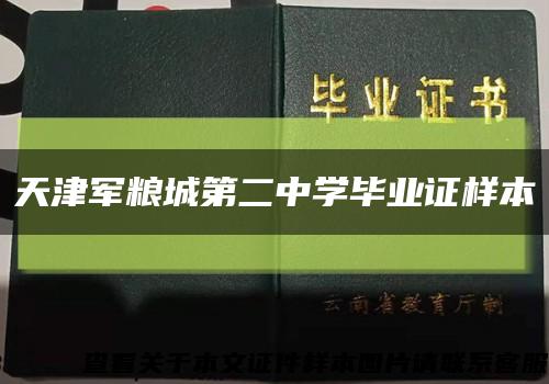 天津军粮城第二中学毕业证样本缩略图