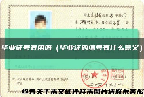 毕业证号有用吗（毕业证的编号有什么意义）缩略图