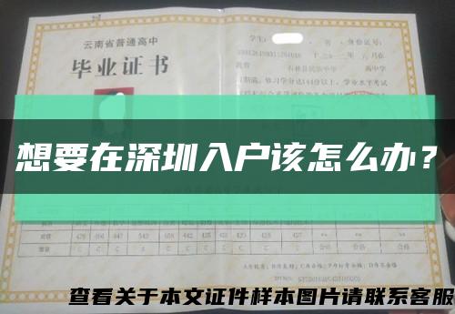 想要在深圳入户该怎么办？缩略图