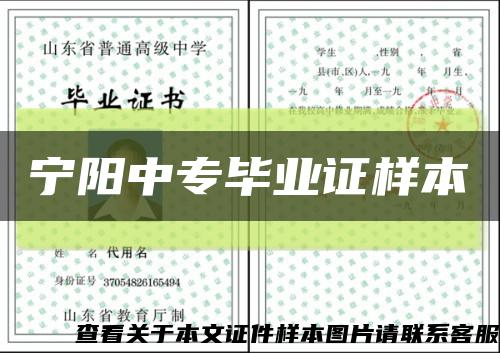 宁阳中专毕业证样本缩略图