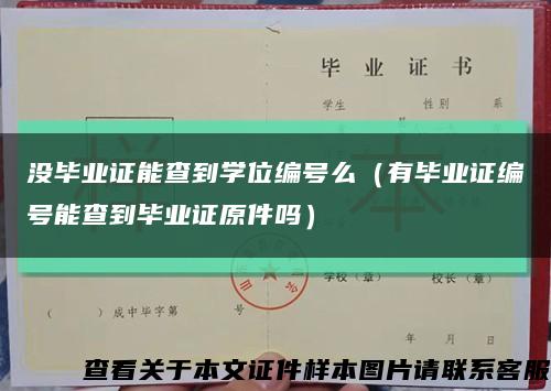没毕业证能查到学位编号么（有毕业证编号能查到毕业证原件吗）缩略图