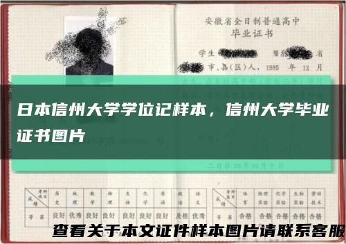 日本信州大学学位记样本，信州大学毕业证书图片缩略图