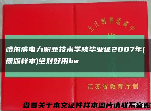 哈尔滨电力职业技术学院毕业证2007年(原版样本)绝对好用bw缩略图