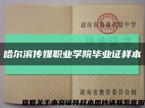 哈尔滨传媒职业学院毕业证样本缩略图