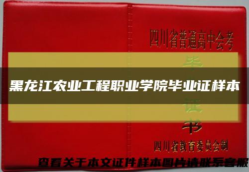 黑龙江农业工程职业学院毕业证样本缩略图