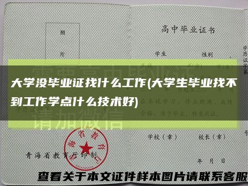 大学没毕业证找什么工作(大学生毕业找不到工作学点什么技术好)缩略图