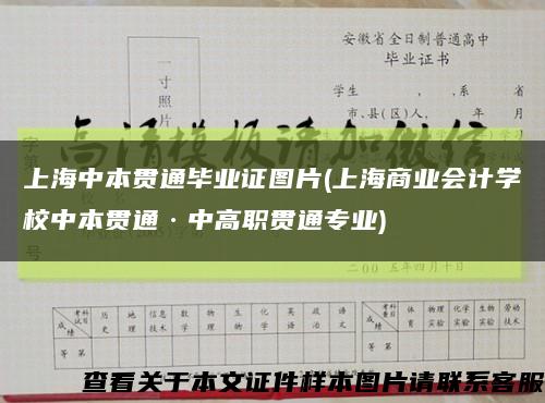 上海中本贯通毕业证图片(上海商业会计学校中本贯通·中高职贯通专业)缩略图